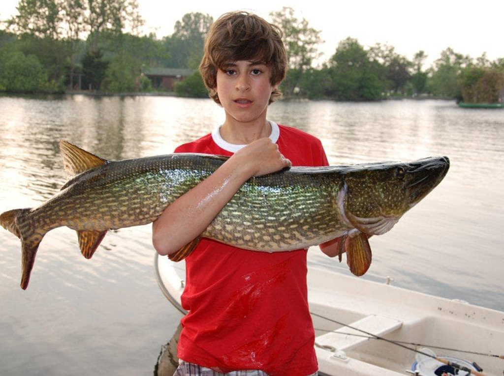 Archief Arrangementen - Davids Vis Tours